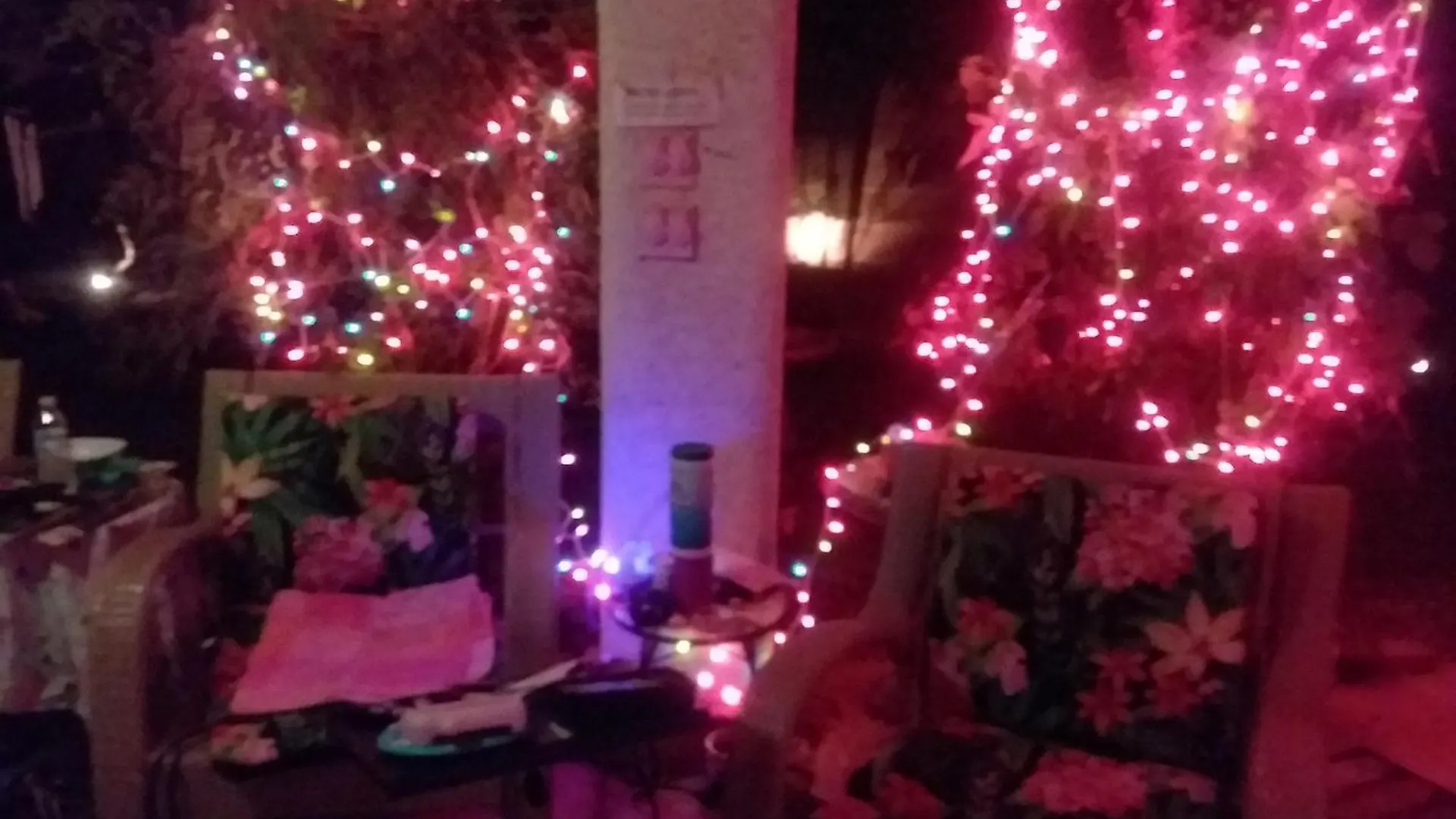 Homestay Catmosphere Las Vegas